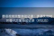 蘑菇视频完整体验记录：资源失效时的替代方案体验记录（对比后）