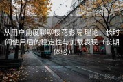 从用户角度聊聊樱花影院 理论：长时间使用后的稳定性与加载表现（长期体验）
