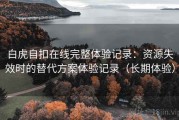 白虎自扣在线完整体验记录：资源失效时的替代方案体验记录（长期体验）