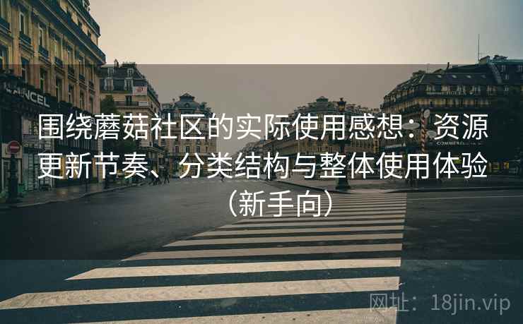 围绕蘑菇社区的实际使用感想：资源更新节奏、分类结构与整体使用体验（新手向）