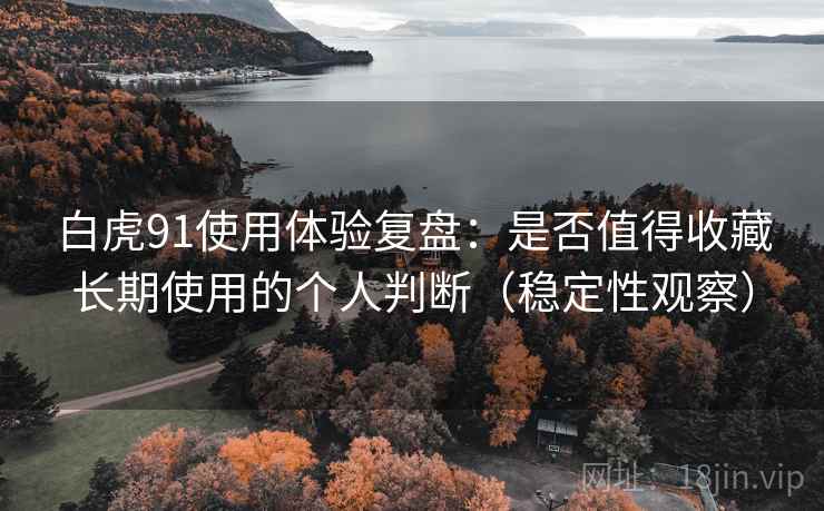 白虎91使用体验复盘：是否值得收藏长期使用的个人判断（稳定性观察）