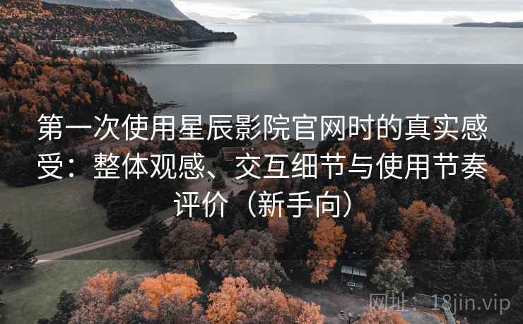 第一次使用星辰影院官网时的真实感受：整体观感、交互细节与使用节奏评价（新手向）