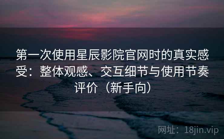 第一次使用星辰影院官网时的真实感受：整体观感、交互细节与使用节奏评价（新手向）