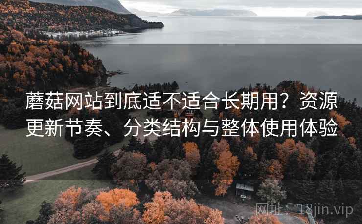 蘑菇网站到底适不适合长期用？资源更新节奏、分类结构与整体使用体验