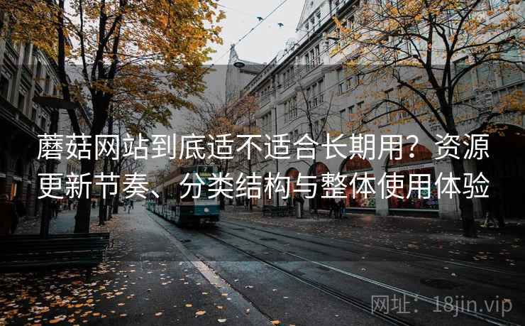 蘑菇网站到底适不适合长期用？资源更新节奏、分类结构与整体使用体验