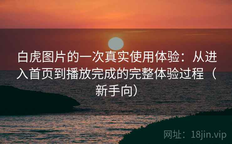 白虎图片的一次真实使用体验:从进入首页到播放完成的完整体验过程(新手向) 白虎图片的一次真实使用体验:从进入首页到播放完成的完整体验过程(新手向)