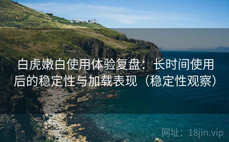 白虎嫩白使用体验复盘：长时间使用后的稳定性与加载表现（稳定性观察）