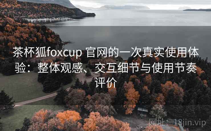 茶杯狐foxcup 官网的一次真实使用体验：整体观感、交互细节与使用节奏评价
